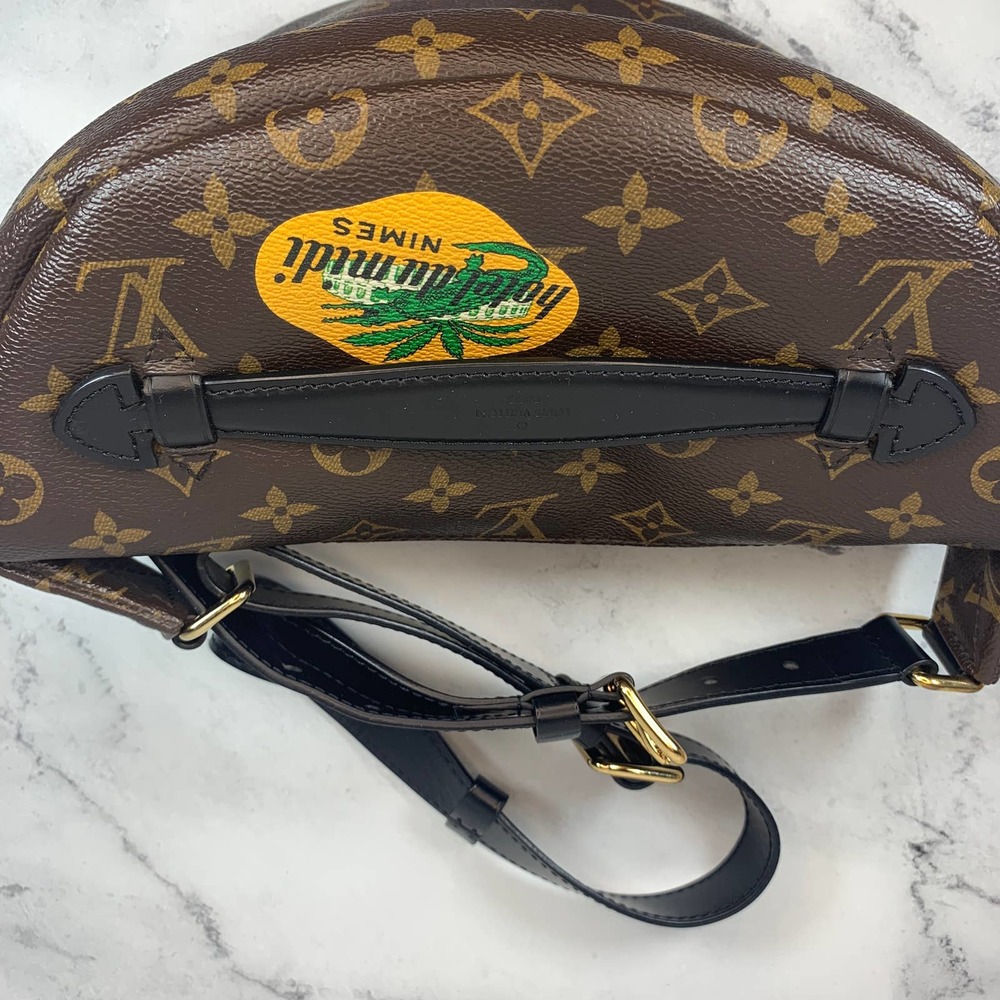 ββLouis Vuitton World Tour bumbag Monogram waist crossbody My LV leather bum bag - Picture 15 of 16
